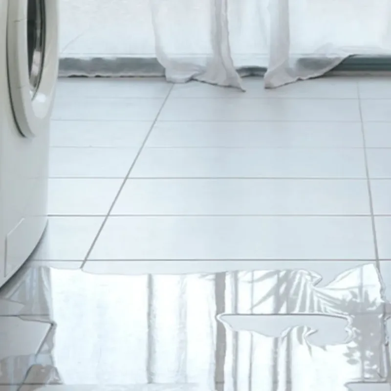 Appliance Leak Cleanup in Polo, IL