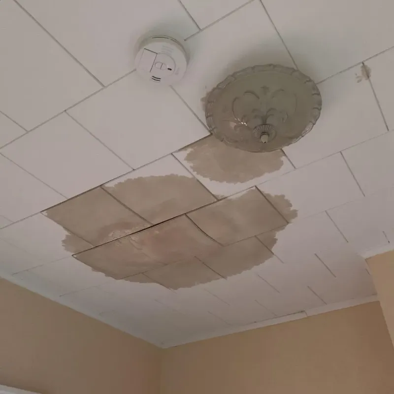 Ceiling Water Damage Repair in Polo, IL