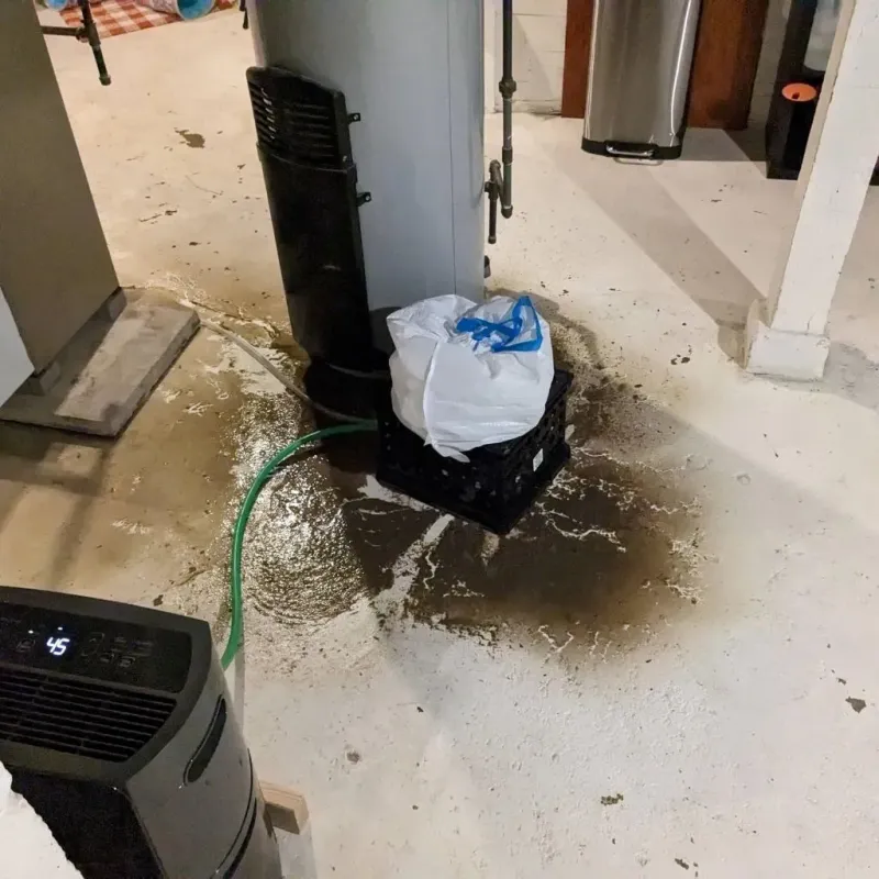 Sewage Backup Cleanup Service in Polo, IL
